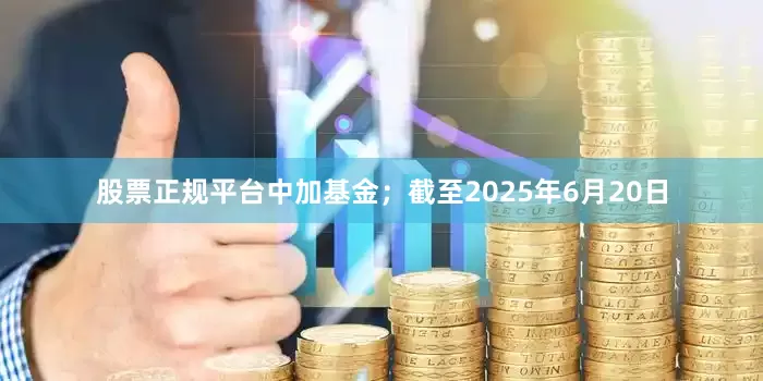 股票正规平台中加基金；截至2025年6月20日