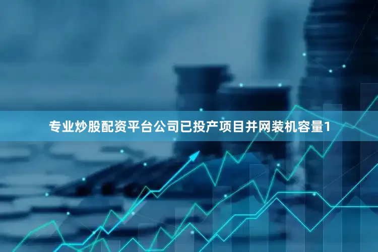 专业炒股配资平台公司已投产项目并网装机容量1